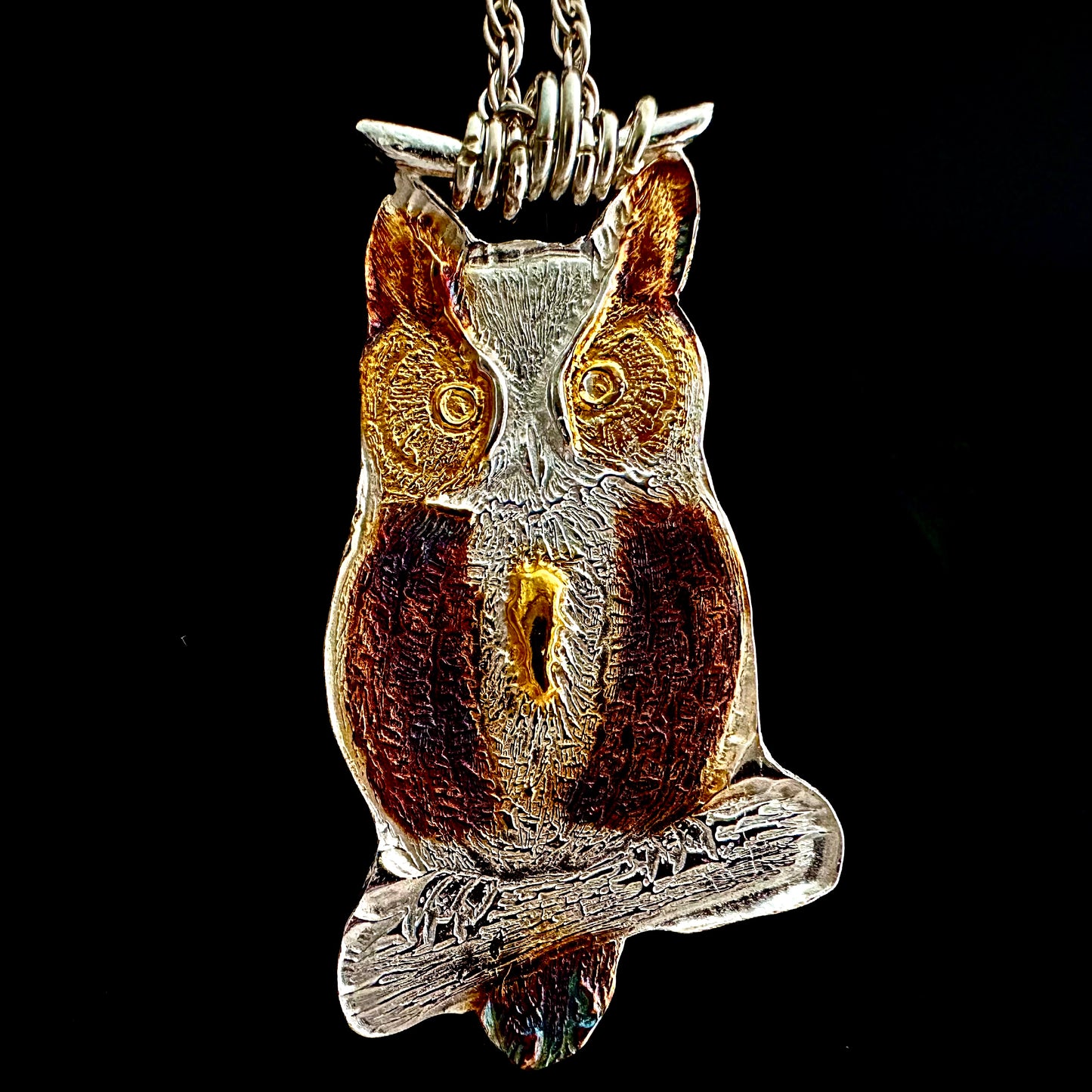 Horned Owl On A Branch