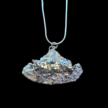 Load image into Gallery viewer, Pine Seed Pod Pendant